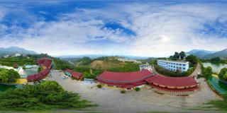 云南果树 (11)